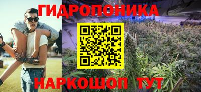 ALPHA PVP Канаш