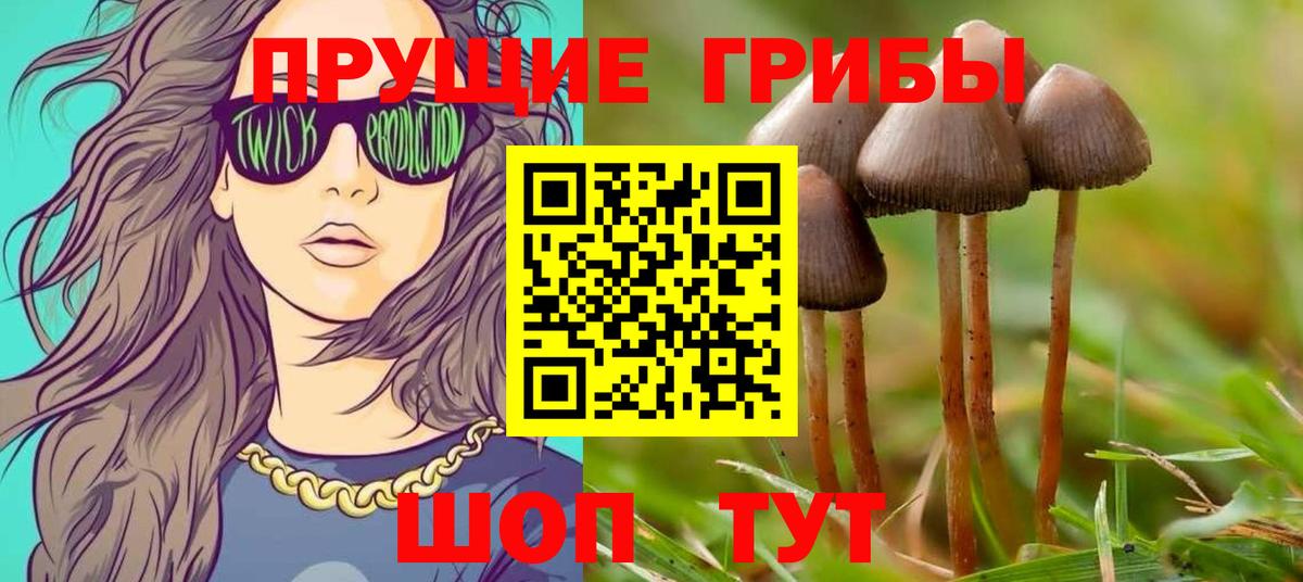 Галлюциногенные грибы прущие грибы  Вход с VPN  Галлюциногенные грибы GOLDEN TEACHER  что такое   Курчатов 